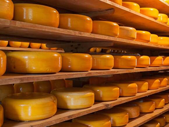 January 16, 20:00 - Whisky and Cheese Tasting