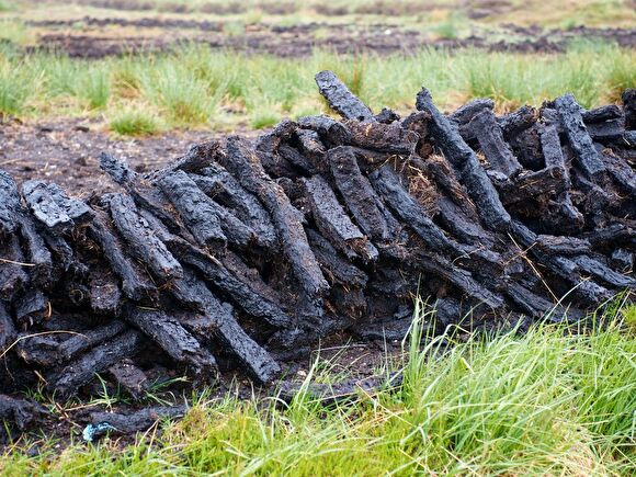 19 December 20:00 - Eindejaars Whisky Proeverij Deel 1 - The Peat Monsters